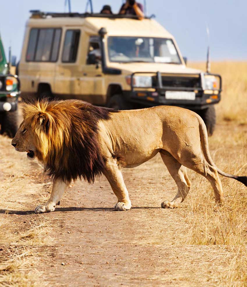 7 Days 6 Nights Northern Tanzania Safari
